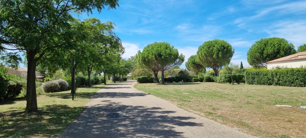 Maison 45M2 Dans Grand Parc Arbore Villa Gallargues-le-Montueux Buitenkant foto